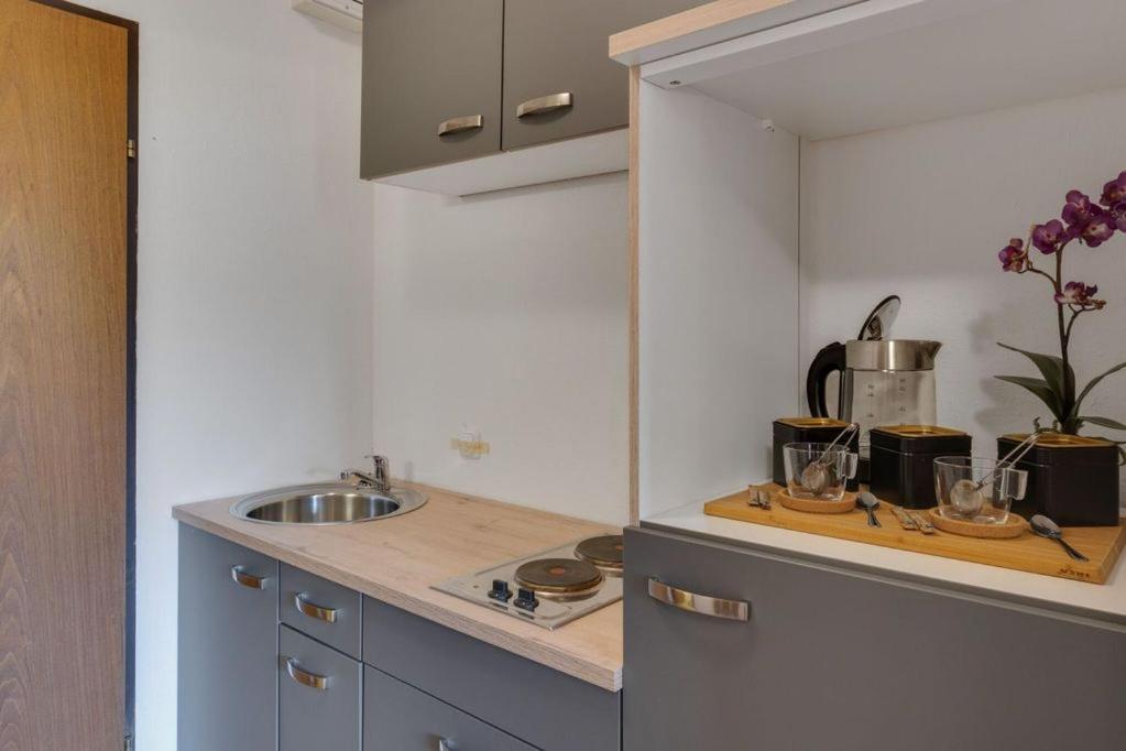 Apartment Noemi Bad Goisern Εξωτερικό φωτογραφία